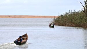 Mariana: pesquisadores encontram metais tóxicos em peixes do Rio Doce