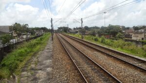Ramal Camaragibe da Linha Centro do Metrô volta a funcionar após paralisação durante a manhã