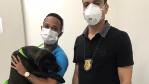 Cadela é resgatada após ser amarrada em moto e arrastada por seis quilômetros, no Grande Recife
