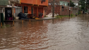 Chuvas deixam mais de 130 desabrigados em Pernambuco; Codecipe registrou 39 deslizamentos de terra