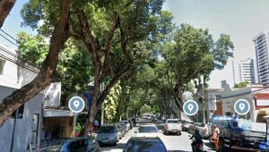 Rua no Espinheiro será interditada para poda de árvore neste domingo