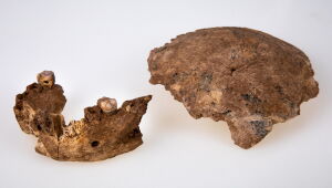 Fósseis de misteriosos seres humanos arcaicos são encontrados em Israel