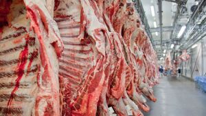 Embargo chinês à carne do Brasil completa dois meses e prejuízo pode chegar a US$ 2,1 bi em dezembro