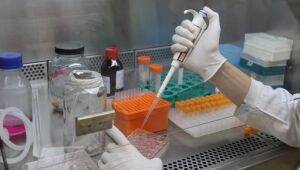 Pesquisadores desenvolvem testes rápidos para diagnóstico de Covid-19
