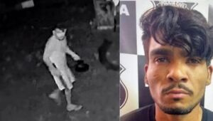 Igual buscar leão na selva, diz Mourão sobre perseguição a 'serial killer do DF'