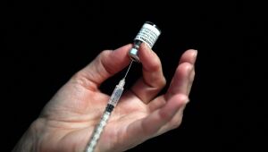 Incentivado por 'fake news' na pandemia, negacionismo tem raízes históricas na sociedade