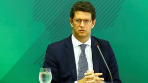 Madeira apreendida pela PF em caso Salles é liberada por desembargador cotado para STJ