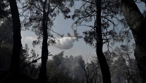 Incêndio florestal causa danos materiais perto de Atenas