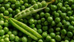 Veganismo na gestação