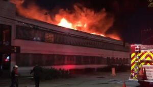 Incêndio atinge depósito da Cinemateca Brasileira em São Paulo