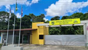 Jardim Botânico do Recife celebra 42 anos com reabertura de trilhas e volta dos ensaios fotográficos