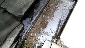 Água empossada vira criadouro do mosquito da dengue em Olinda
