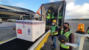 Com entrega de novo lote, Pernambuco recebeu mais de 411 mil vacinas contra Covid-19 nesta terça