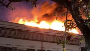 Secretários de Cultura falam que negligência da gestão Bolsonaro levou a incêndio na Cinemateca