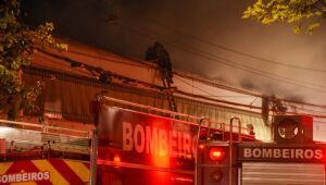 Fogo na Cinemateca pode ter extinguido memória de políticas públicas do cinema