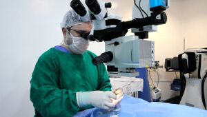 Lei garante meia entrada a transplantados e doadores de órgãos e tecidos em Pernambuco
