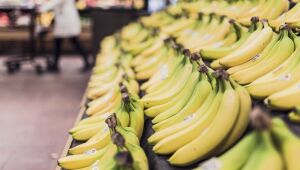 Banana é superalimento para a saúde do corpo