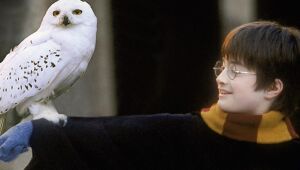 Saga de Harry Potter ganha álbum de figurinhas para lembrar cenas icônicas