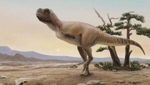 Nova espécie de dinossauro carnívoro brasileiro homenageia 'deus do sexo' guarani