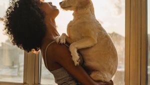 Cães e gatos podem ter vírus da Covid-19, mas não transmitem a doença