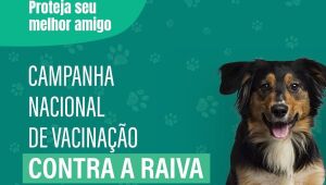 Saúde promove Dia "D" de vacina antirrábica na fronteira com a Bolívia