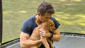 Ryan Reynolds anuncia período sabático e Blake Lively faz piada