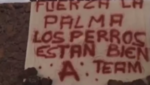 Cachorros cercados por lava em La Palma somem, e grupo deixa mensagem misteriosa