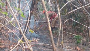 Polícia Civil de Goiás indicia quatro pessoas por incêndios na Chapada