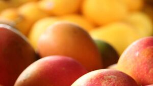 Primavera: saiba quais são as frutas e verduras em alta na estação