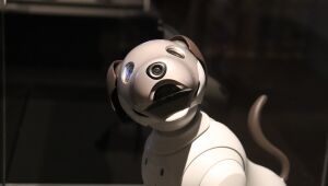 Empresa lança cão robô armado e web compara com episódio de 'Black Mirror'