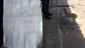 Com bilhete escrito "Não me deixem morrer", cadela abandonada é resgatada por policiais no Ceará