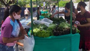 Praça do Hipódromo, na Zona Norte, recebe feira de produtos orgânicos todas as sextas