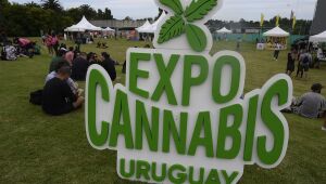 De gim a cosméticos; o que encontrar em feira de cannabis no Uruguai