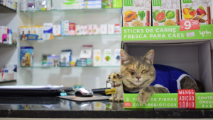 Fundaj celebra 'As 7 vidas de Edson Nery da Fonseca'