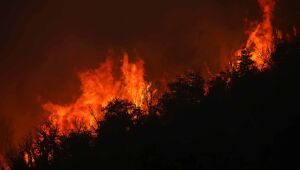 Incêndio florestal avança no extremo sul da Argentina