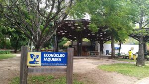 Programação de férias com atividades ambientais; confira