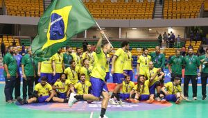 Brasil vence Argentina e conquista Sul-Centro