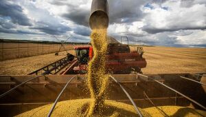 Agronegócio tem superávit de US$ 7,7 bilhões em janeiro deste ano