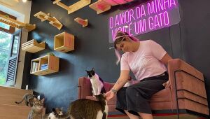 Estabelecimentos criam cardápios especiais para cães e gatos na tentativa de atrair donos de pets