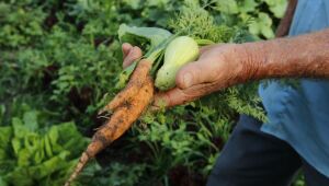 Brasil terá crédito de US$ 1,2 bi para projetos agrícolas    