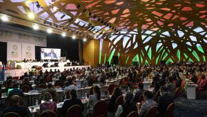 COP15 se compromete a recuperar bilhões de hectares degradados