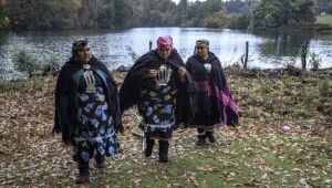Um morto e dois feridos em ataque em área mapuche no Chile