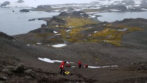 Cientistas chilenos identificam bactérias hiperresistentes na Antártida