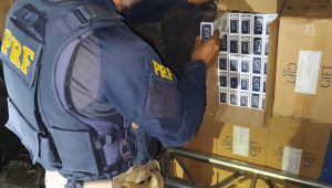 PRF apreende mais de R$ 400 mil em maços de cigarro paraguaio escondidos em fundo falso de caminhão