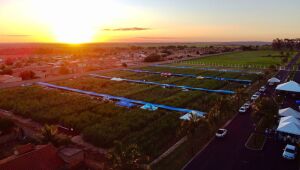 Megacana Tech Show Brasil chega a Pernambuco com dia de campo e transmissão ao vivo