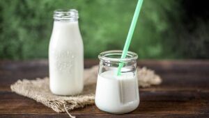 Confira mitos e verdades sobre a intolerância à lactose