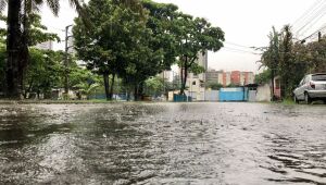 PE: em três dias, quase mil moradores tiveram que sair de casa devido aos danos causados pela chuva