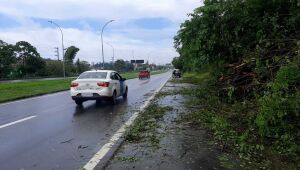 BRs de Pernambuco têm ao menos 10 pontos de interdição por causa das chuvas neste domingo (29)