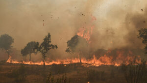Grande incêndio no leste da Espanha ameaça parque natural