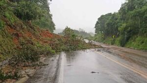Após quedas de barreiras, trechos de rodovias no Agreste e na Zona da Mata Sul ficam interditados